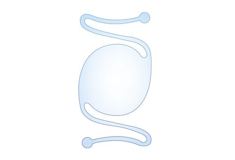 Loop Guardian™
